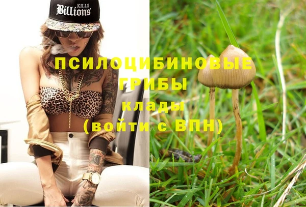 ГАЛЛЮЦИНОГЕННЫЕ ГРИБЫ Баксан